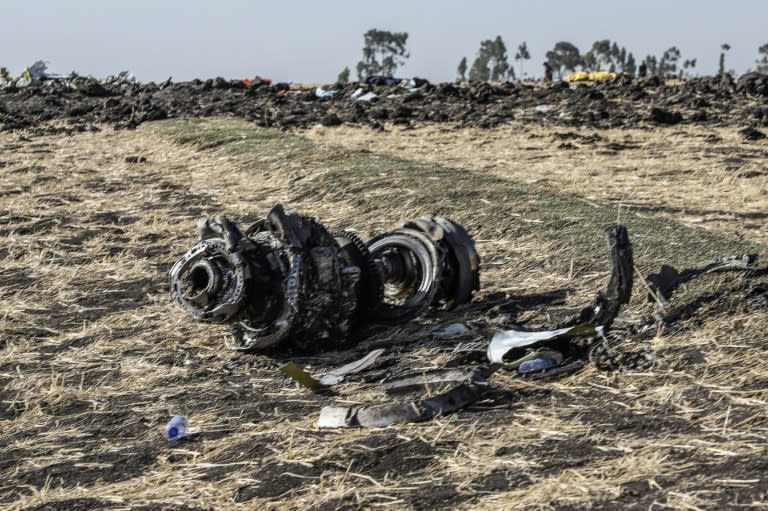 Un débris du Boeing 737 MAX d'Ethiopian Airlines après son crash le 10 mars 2019 près d'Addis Abeba (Michael TEWELDE)