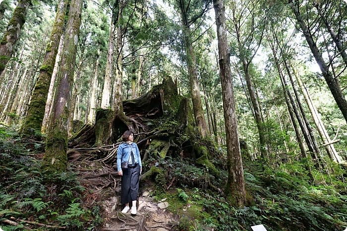 太平山