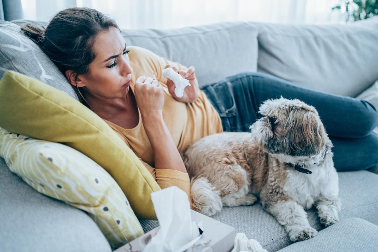 Sick young woman lying on the couch with her cute pet dog and blowing her nose. Ill woman lying on the sofa with high temperature.