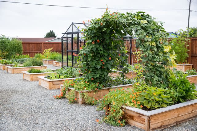 <p><a href="https://www.deliacreates.com/raised-bed-garden-arch-trellis/" data-component="link" data-source="inlineLink" data-type="externalLink" data-ordinal="1">Delia Creates</a></p>