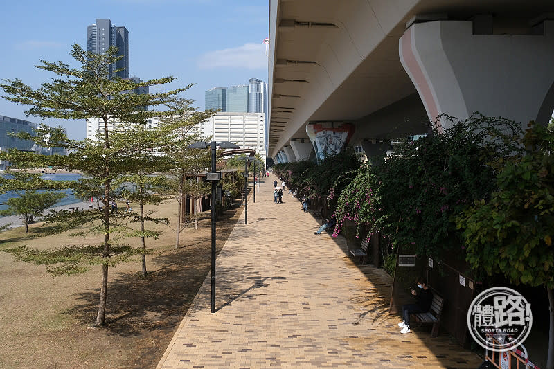 海濱公園內的磚路