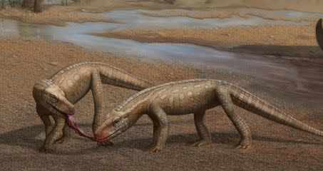 Parvosuchus aurelioi