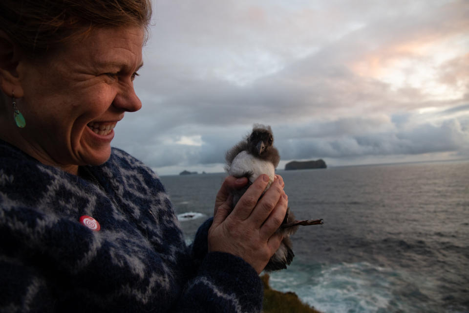 Karen Velas holds a fluffy puffling before releasing it at the cliffs at sunset. (Photo: Jennifer Adler)