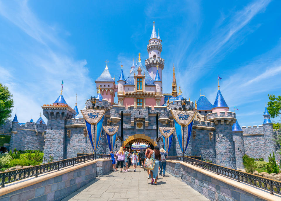 Disneyland castle