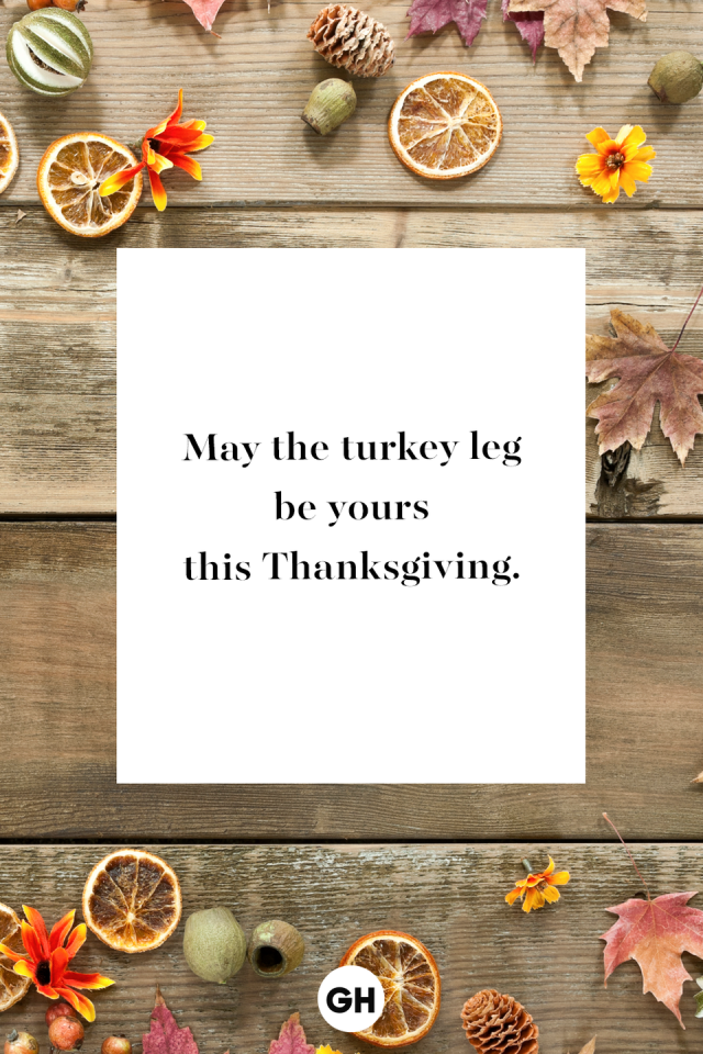 Happy Thanksgiving! Wishing you a relaxing holiday filled with family,  friends, and all your favorite foods. 🦃