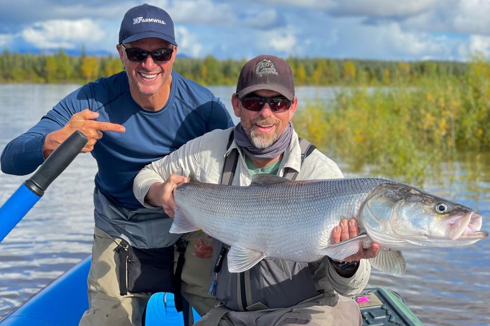 An anglers poses with a giant sheefish caught on Alaska's Kobuk River. 