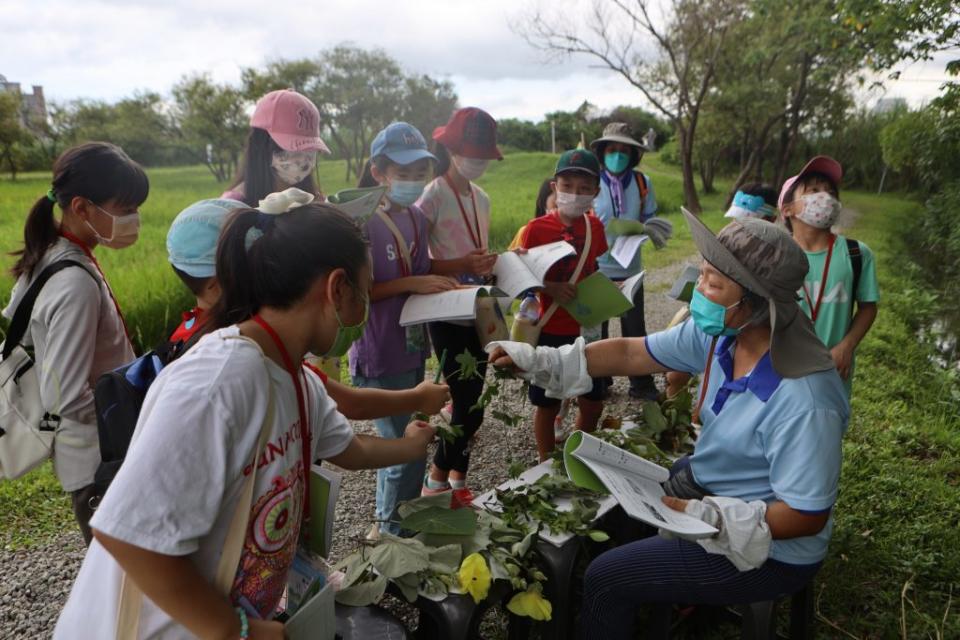 二０二三新北濕地夏令營啟動，活動包括學校裡看不到的有趣生態課程─植物好好玩。　（新北水利局提供）