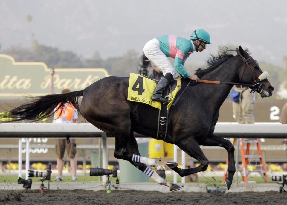 Zenyatta gallops to victory at the 2009 Breeders' Cup Classic at Santa Anita Park.