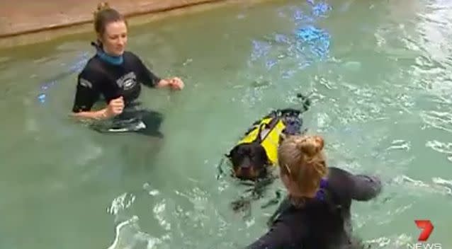 Paz is getting more comfortable in the water. Source: 7News