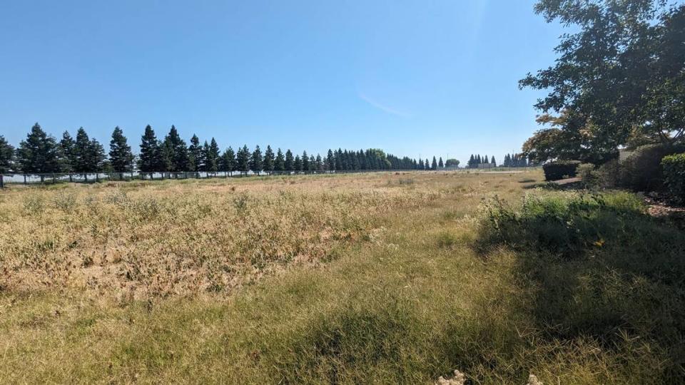 Calpine hopes to build a first-in-the-nation carbon capture project on this piece of land, pictured on July 20, at the Sutter Energy Center outside Yuba City.