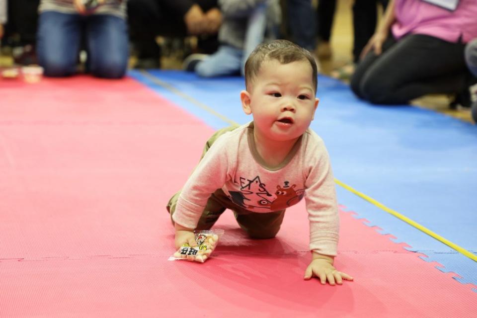 寶寶爬行比賽小小選手們都卯足勁的耍萌。（記者張翔翻攝）