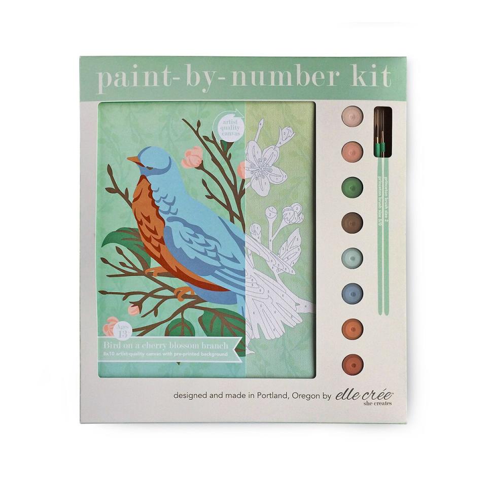 25) Springtime Paint-by-Number Kit