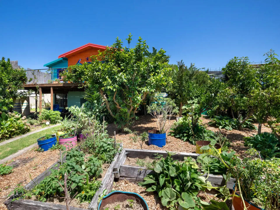 Im Garten gibt es Obst- und Nussbäume. - Copyright: Michael Blyde Photography