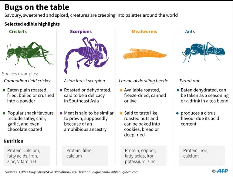 High in protein, cheap to produce, and with a much lighter carbon footprint than meat or dairy farming, bugs are already part of the diet for more than two billion people worldwide, according to the United Nations