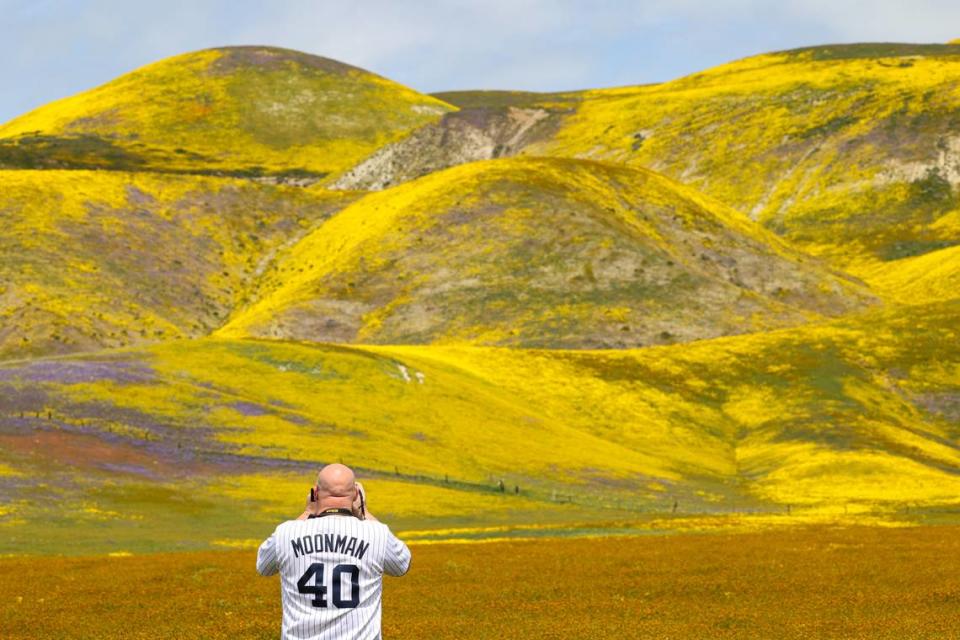 Alan Mooney of Fresno takes pictures along Highway 58 in California Valley. Wildflower fans turned out along Highway 58 on April 7, 2023.