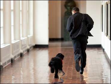 President Obama and his new dog Bo run through the White House halls. / Credit: White House Photo