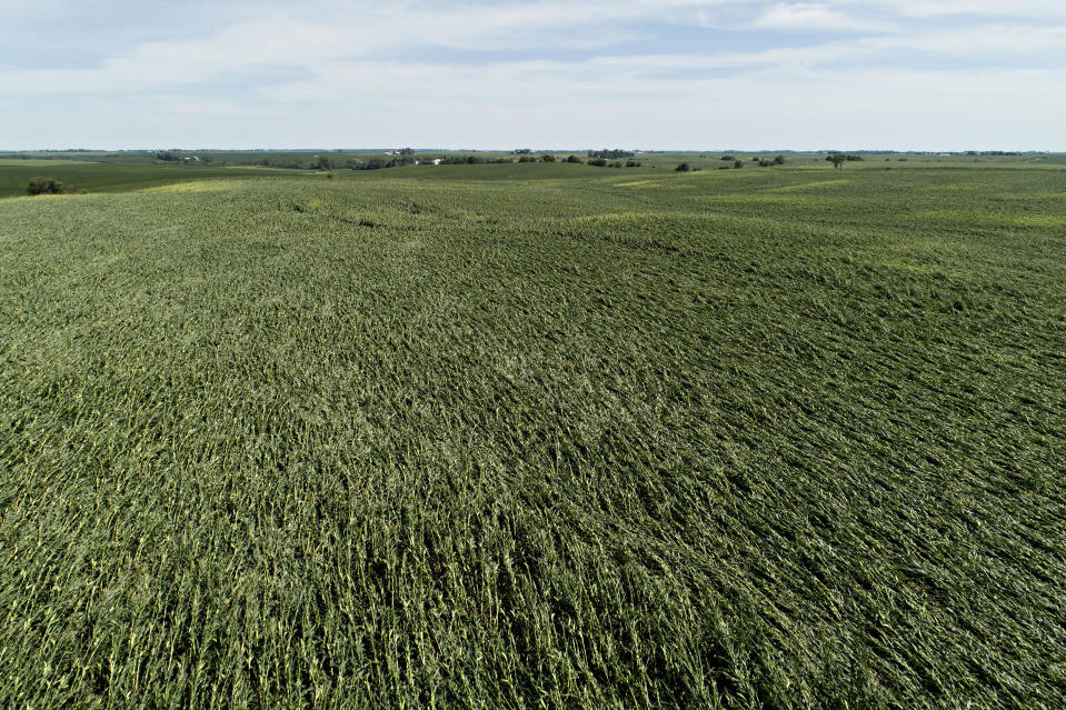 Image: Powerful Derecho Causes Widespread Damage Across Iowa Farmland (Daniel Acker / Getty Images)