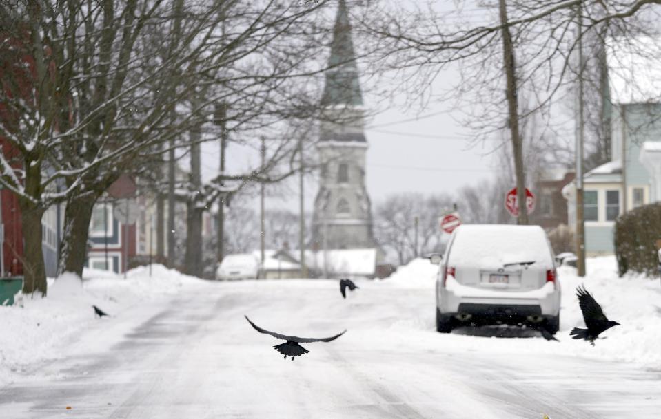 Crows fly on Union Street in Pittsfield, Mass., over fresh snow on Tuesday, Feb. 28, 2023. As much as 7 or 8 inches (18 to 20 centimeters) of snow blanketed some communities in the Northeast by Tuesday morning.(Ben Garver/The Berkshire Eagle via AP)