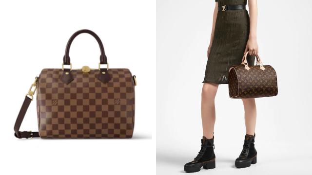 How to make your LV Speedy 25 more versatile  Strap on a non Bandouliere  bag? Controversial 