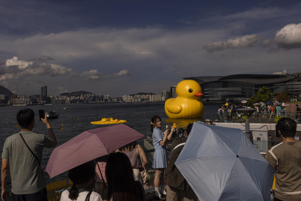 An art installation called "Double Ducks" by Dutch artist Florentijn Hofman as one of the duck is deflated at Victoria Harbour in Hong Kong, Saturday, June 10, 2023. (AP Photo/Louise Delmotte)