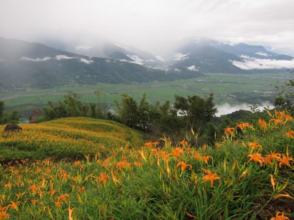 六十石山金針花海。（中華旅行社提供）