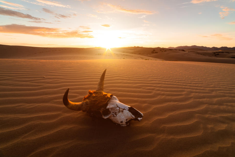 Im Death Valley kann es ziemlich heiß hergehen (Symbolbild: Getty Images)