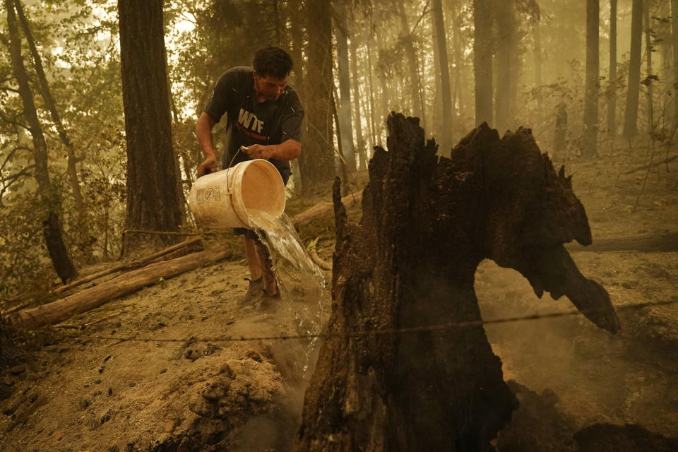 Erik Tucker pours water on a smoldering stump in an area around his home burned by the Beachie Creek Fire, Saturday, Sept. 12, 2020, in Lyons, Ore. Tucker lost a shed but his home was intact. (AP Photo/John Locher)