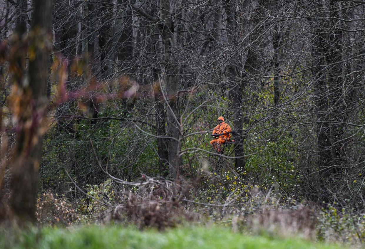 A hunter dressed in blaze orange is seen hunting in a tree stand Monday, Nov. 15, 2021, in the woods on public hunting land near Rose Lake in Bath Township on the first day of Michigan's firearm deer hunting season.