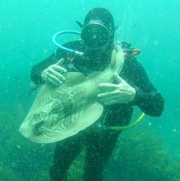 <p>El mar es su segundo hogar y, cuando la situación lo permite, este hombre se retrata junto a diversas especies marinas. </p>