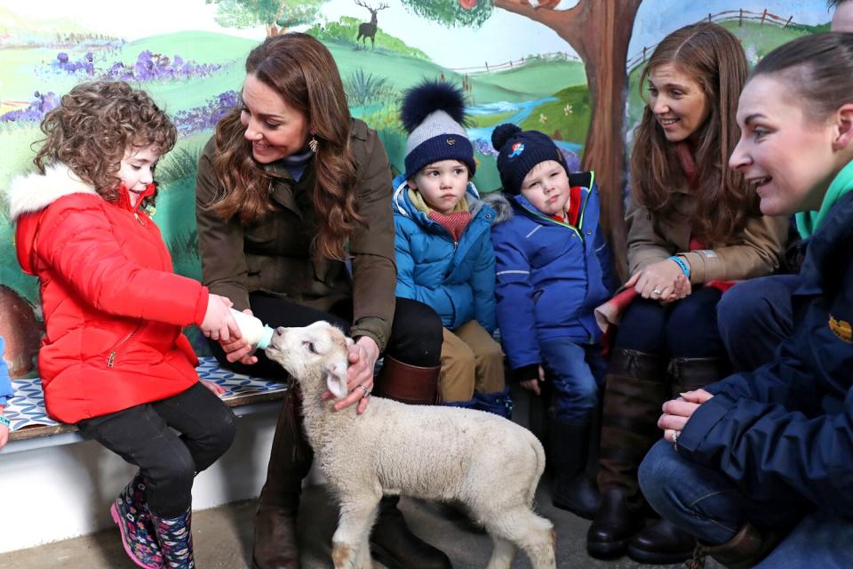 Kate Middleton fed a lamb, pet an adorable brown alpaca, met a guinea pig and pet a tortoise alongside groups of children and families that visited <a href="https://www.thearkopenfarm.co.uk/" rel="nofollow noopener" target="_blank" data-ylk="slk:the Ark Open Farm;elm:context_link;itc:0;sec:content-canvas" class="link ">the Ark Open Farm</a> in Northern Ireland alongside the royal mom.