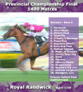 One of the most difficult races of the day. The Provincial Championship final has numerous chances. Interesting however is that two trainers in Kris Lees and Bede Murray dominate the field with training 9 of the 15 runners. Amongst the better chances are Oxford Poet, Magic of Dreams, Selectify and Darci Magic.