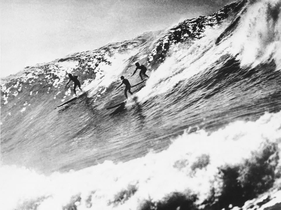 Hawaiian surf riders Buzzy Trent, Woody Brown and George Downing glide down advancing front of a 19 foot at Makaha, near Waianae, Oahu, December 3, 1953