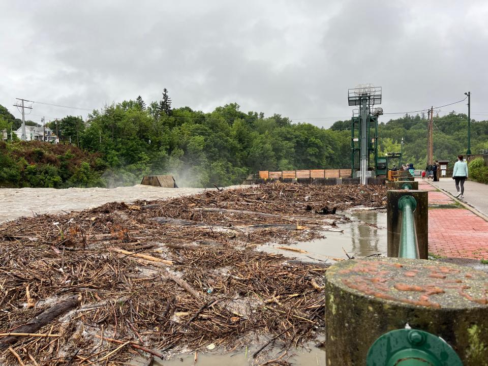 Debris on the Winooski River pictured July 10, 2023. Trees washed into the lake by flooding are hazards for boats but offer shelter for young fish.