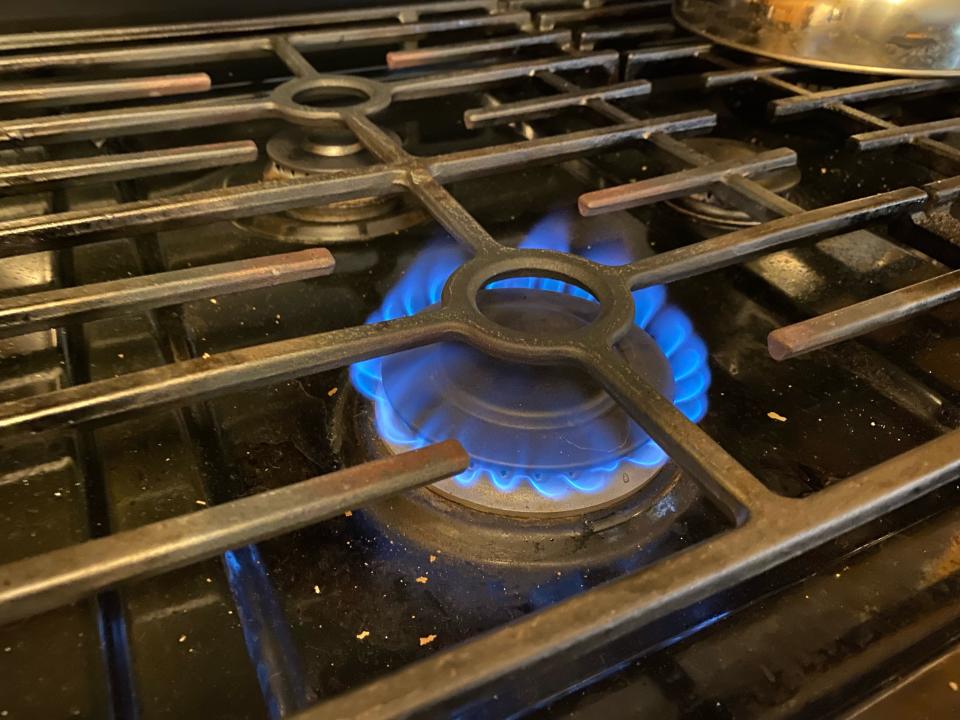 Republican Gov. Bill Lee has signed legislation that says local governments can't ban gas stoves, even though no current city in Tennessee is currently pursuing such actions.