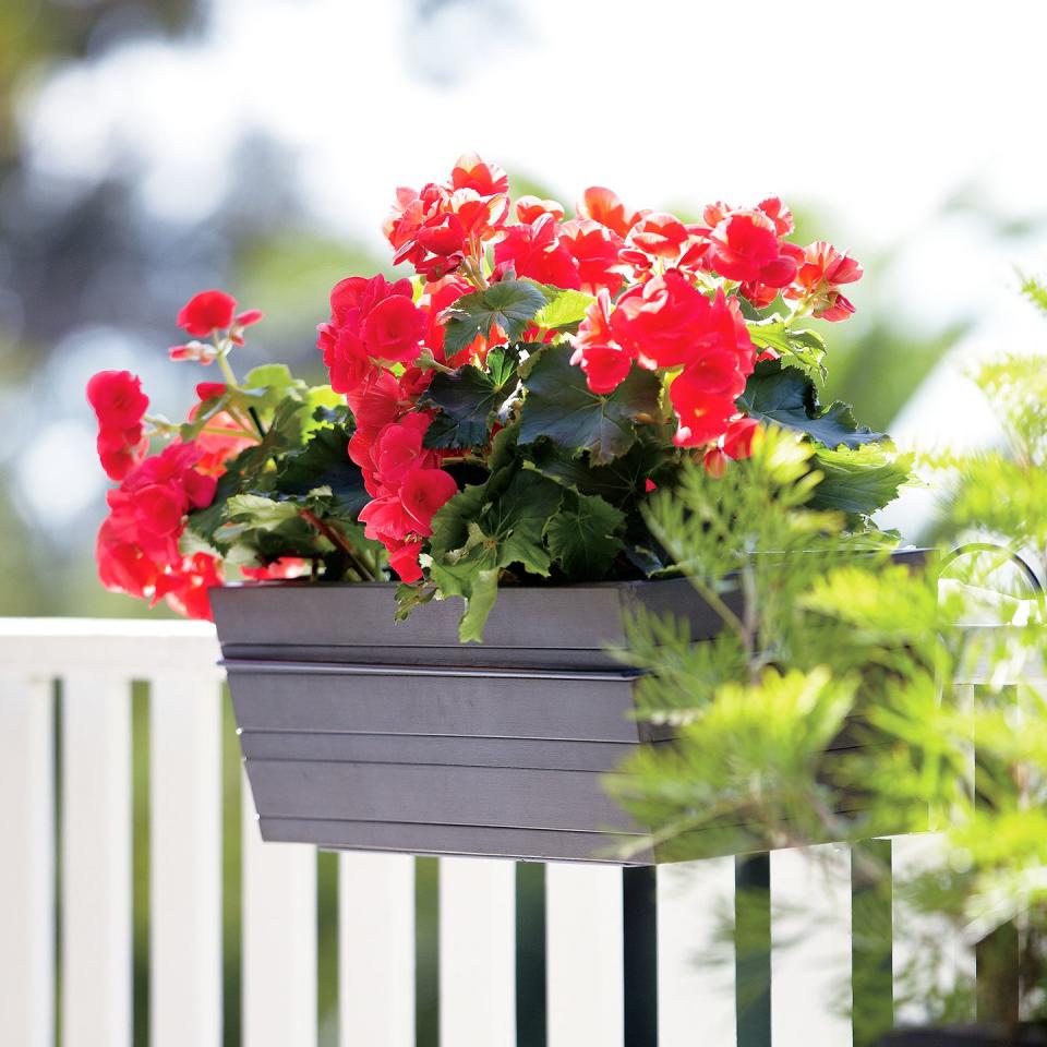 Fence Planters