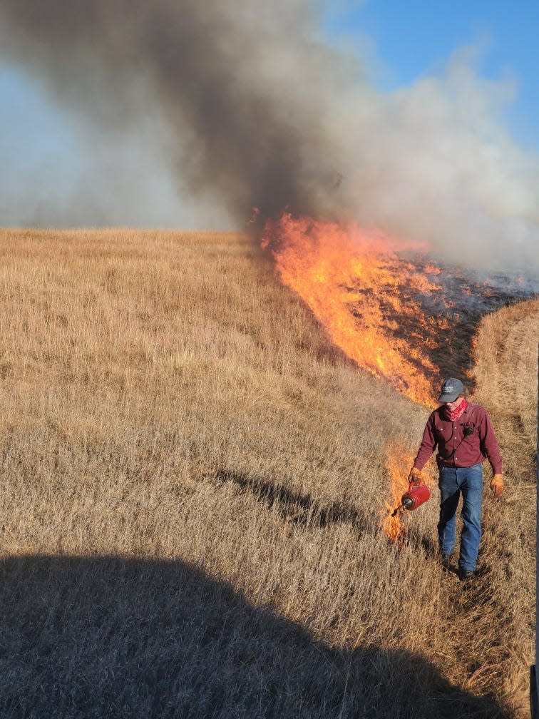Smoky Hills Prescribed Burn Association President Paul Finnell uses a drip torch to light a fire line during a controlled burn. Prescribed burn associations not only conduct burns, but educate, assist and promote responsible, controlled fire as a land management tool.