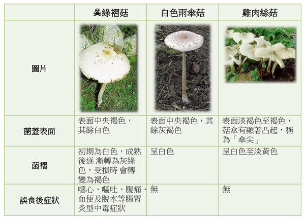 綠褶菇VS.白色雨傘菇VS.雞肉絲菇。（圖片／製圖洪毓琪，資料取自食品藥物管理署）