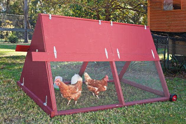 Build a moveable chicken coop