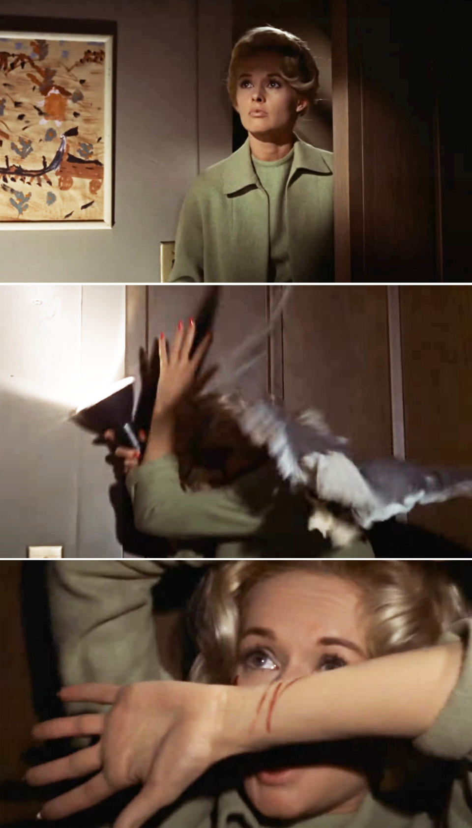 Three-panel collage from "The Birds" featuring Tippi Hedren in suspenseful scenes with attacking birds