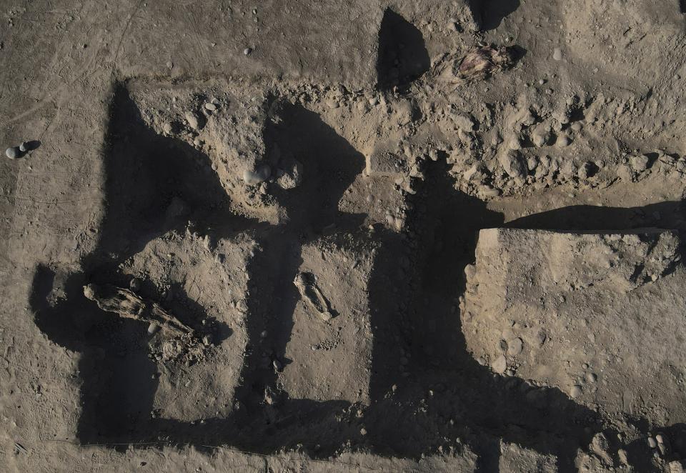 Las momias yacen en el suelo en un sito excavado por arqueólogos dentro del parque de diversiones y zoológico "Parque de las Leyendas" en Lima, Perú, el viernes 14 de octubre de 2022. Arqueólogos peruanos anunciaron que 11 momias fueron descubiertas recientemente en el parque de diversiones más grande de Lima y uno de los favoritos entre los niños de la capital peruana. (Foto AP/Martín Mejía)