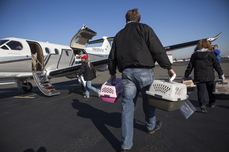 Dogs from the Front Street Animal Shelter in Sacramento, California, are loaded for a flight of 50 dogs to a no-kill shelter in Idaho, December 9, 2013. Picture taken December 9, 2013. REUTERS/Max Whittaker (UNITED STATES - Tags: ANIMALS SOCIETY)