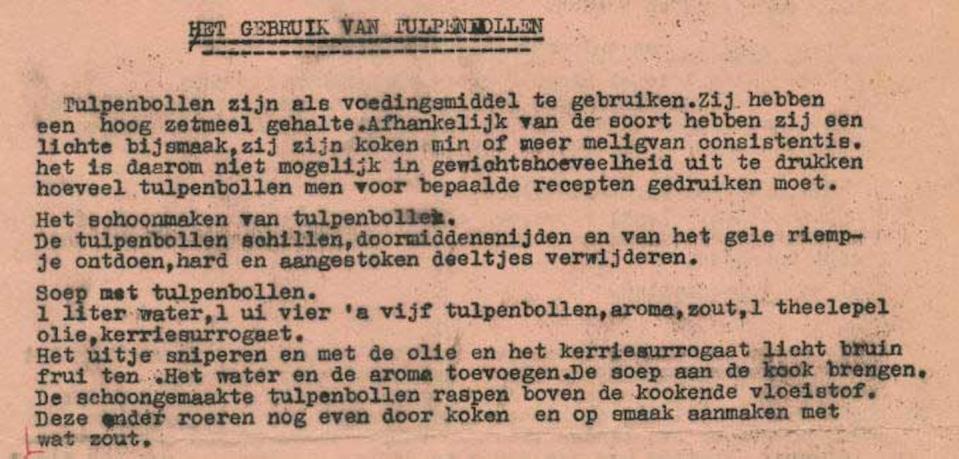 Recipe for making tulip bulb soup during the Dutch famine.
