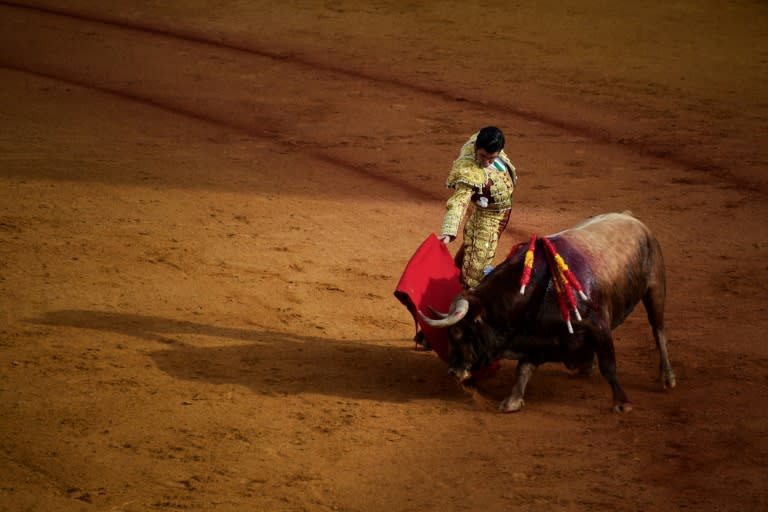 Bullfighting retains a passionate following in some circles in Spain and leading matadors are treated as celebrities (CRISTINA QUICLER)
