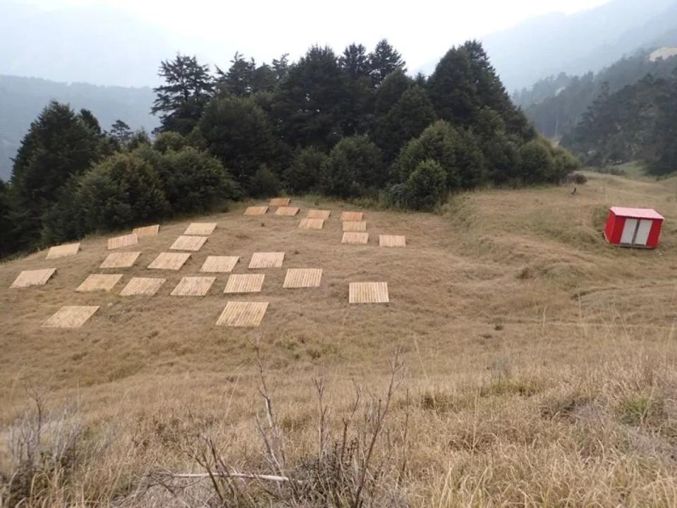 雪山369山莊拆除重建期間，有24個帳棚臨時營地可用。（圖：雪管處提供）