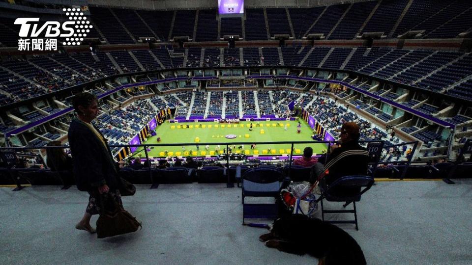 西敏寺犬展在紐約金恩夫人網球場（USTA Billie Jean King National Tennis Center）盛大舉行。（圖／達志影像路透社）