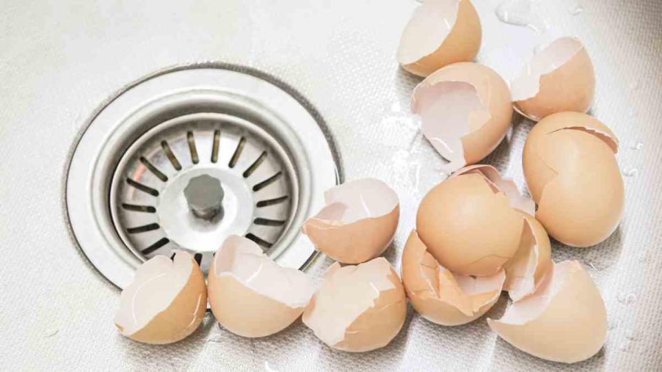 eggshells uses: Broken eggshell from a few eggs in the kitchen sink. Cooking egg omelet for morning breakfast. Halved eggs after cooking scrambled eggs.