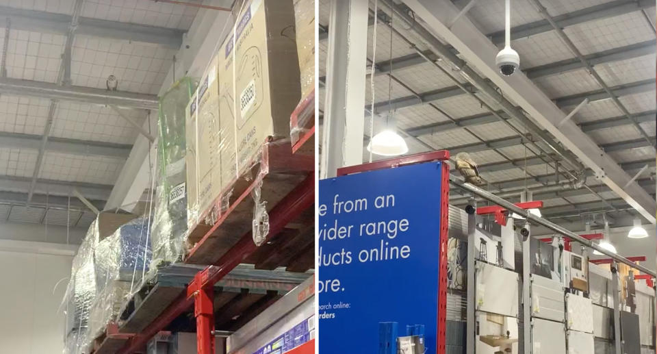 The barn owl can be spotted high above boxes in the Bunnings store (left) before it flew down to a lower section (right). 