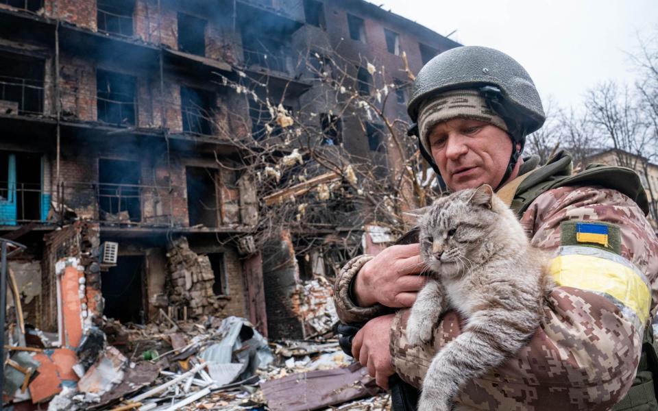 A soldier holds a cat in front of an educational institute in Vasylkiv destroyed by Russian artillery - Redux / Alex Lourie