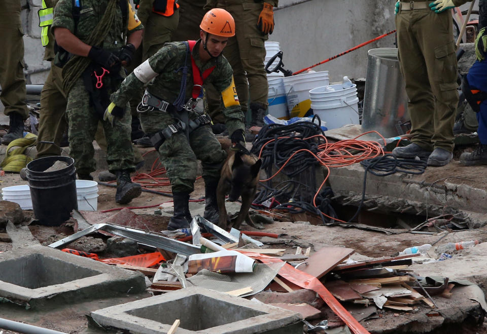 FOTOS: Nuevo sismo sacude México