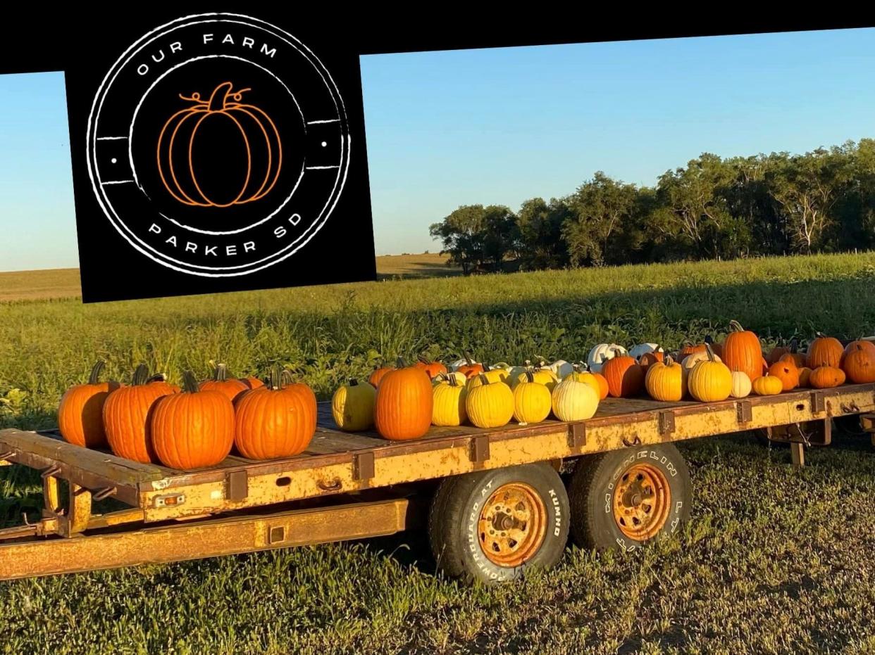 The Mellegaard family planted10,000 pumpkin seeds by hand near Parker, South Dakota. They turned their family farm into a fall family destination and named it Our Farm.